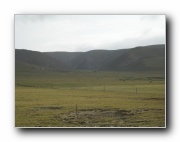 Click to enlarge this image
